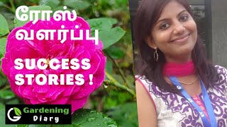 Success Stories of rose growing in Tamil [upl. by Riggall]