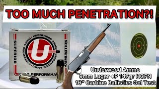 9mm Carbine Ammo Review amp Ballistics Gel Test Underwood Ammo 9mm P 147gr Hard Cast Flat Nose [upl. by Hattie810]