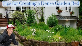 Tips for a Dense Low Maintenance Garden Bed  No Mulch amp Less Weeds  Perennial Plants [upl. by Panthia]