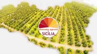 Agrumi di Sicilia Un giorno nellisola del sole [upl. by Zap]