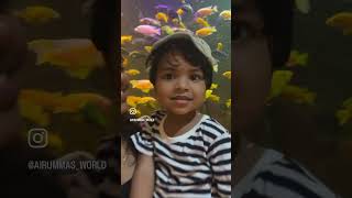 Petstation😍youtubeshorts kannur travel petstationkannur baby girl [upl. by Daffy]