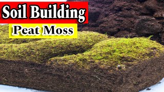 Peat Moss Vs Sphagnum Moss Best Venus Flytrap Soil Mix Substrate  What Is The Difference [upl. by Neda663]