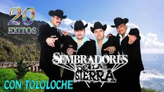 Los Sembradores de La Sierra  Corridos Con Tololoche Mix [upl. by Sulakcin]