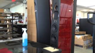 Sonus Faber Lilium speakers [upl. by Bolger]