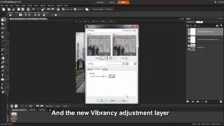 PaintShop Pro X4  Adjustment Layers [upl. by Alyks]