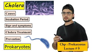 Cholera disease  Causes symptoms transmission treatment and prevention [upl. by Emmalee]