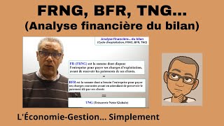 Analyse financière  FRNG BFR et TNG simplement [upl. by Margaret560]