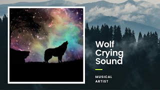 Awesome wolf Howling Compilation  Wolves Howling Sounds  Musical Artist [upl. by Sina]