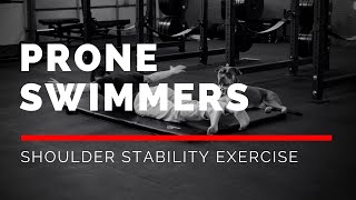 Prone Swimmers EASY Upper Back Strengthening Exercise [upl. by Orpha926]