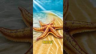 Starfish Unique Biology Explained starfish facts shorts [upl. by Ivgnout202]