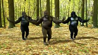 Patli kamariya Mori hi hi reshort gorilla dance funny video [upl. by Sherlocke104]