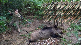 new traces of wild boar immediately make trap attack wild boar survival alone [upl. by Havens]