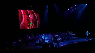 quotWEIRD ALquot YANKOVIC quotJURASSIC PARKquot animation at 2019 concert in AbbotsfordBC TNTLIVEVancouver [upl. by Alyakem]