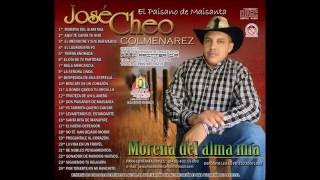 José Colmenarez  Morena del Alma Mia [upl. by Elleira]