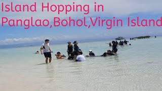 Island Hopping in Panglao Bohol Virgin IslandMay 152024 [upl. by Branch66]