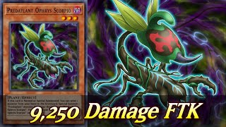 Predaplant Ophrys Scorpio 9250 Damage FTK YuGiOh Duel Links [upl. by Aernda]