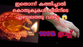 കൊതുകിനെ തുരത്താൻ ഇത്രയും എളുപ്പമായിരുന്നോ 😱👌🏼👌🏼kitchentips cleaningtips mosquitorepellent [upl. by Bonneau]