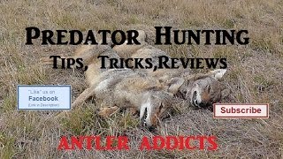 Predator Hunting Tips Tricks Reviews Primos quotStillquot Cottontail Rabbit [upl. by Dawna]