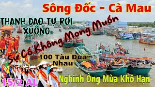 Sự Cố Không Mong Muốn Thanh Đao Biết Di Chuyển Cùng Hàng 100 Tàu Nghinh Ông Sông Đốc Mùa Khô Hạn [upl. by Esmond]