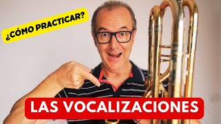 CÓMO TRABAJAR LA VOCALIZACIÓN [upl. by Berkman]