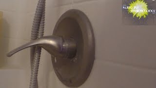 Single Handle Faucet Leaking Shower Valve Repair [upl. by Trotta232]