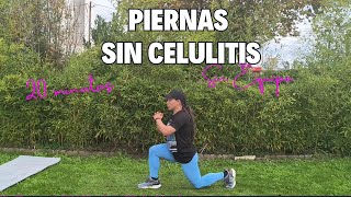 Rutina Piernas Libre se CELULITIS sin material en casa en 20 minutos [upl. by Linders]