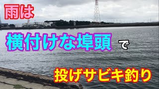 雨は横付けな埠頭で投げサビキ釣り 知多半島 [upl. by Byran]