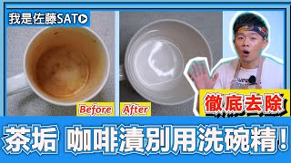 杯子有茶垢、咖啡漬『別用洗碗精來洗』！教你一招徹底去除變黃的方法！泡茶的茶壺，也可以這樣清洗喔！ [upl. by Yanehc429]