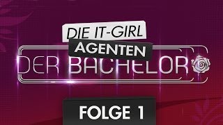 Bachelor 2014 Folge 1 Die 22 Kandidatinnen Meinung [upl. by Acirdna938]