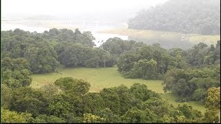 Peringalkuthu Dam View  Thrissur Kerala India [upl. by Atnim]