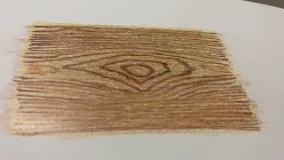 Basic Wood grain Effects On Paper With Color Pencils [upl. by Ramal]