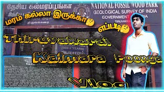 Villupuram To Pondycherry \ Thiruvakarai Kalamara Poonga Vlog🔥🔥🤙🏻🤙🏻 [upl. by Camel]