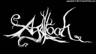 Aloeswood  Sowilo Rune Agalloch cover [upl. by Rhona643]