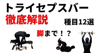 トライセプスバーを使いこなせ 徹底解説 種目12選 脚トレまで【上腕三頭筋基本種目3選】【上腕三頭筋以外の種目9選】フレンチプレス トライセプスエクステンション プルオーバー [upl. by Janeen]