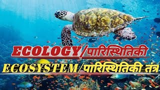 EcologyEcosystemपारिस्थितिकीपारिस्थितिकी तंत्र [upl. by Dolores]