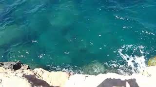 Cliff jumping in Torrevieja Spain [upl. by Torrence538]