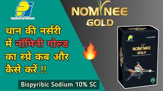 Nominee Gold Herbicide  Bispyribac Sodium 10 SC  धान की नर्सरी में नॉमिनी गोल्ड की स्प्रे कब करें [upl. by Enelyak]