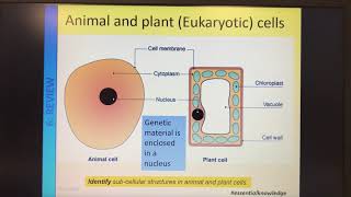 B1 Eukaryotes and Prokaryotes [upl. by Bach]