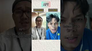 APT Versi Sunda dan Jawa fyp trending tiktok idtiktok [upl. by Enyt]