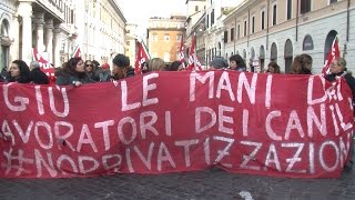 Canili comunali la protesta dei dipendenti a mezzanotte tutti disoccupati [upl. by Ongineb456]