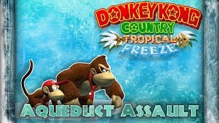 Aqueduct Assault Remix  Donkey Kong Country Tropical Freeze [upl. by Akinak]