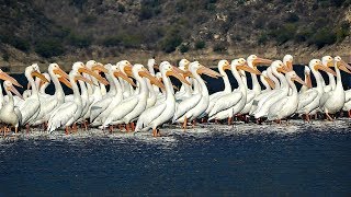 LAGUNA DE METZTITLÁN METZTITLÁN HGO MÉXICO 2019 [upl. by Hctim715]