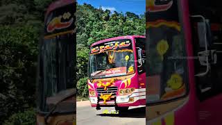 statehighway privetbuskerala automobile travel privetbus turistbus ksrtc touristbus driver [upl. by Nawat735]