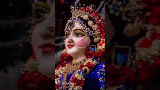 radhe radhe aartiradheradhe viralshorts shorts kishnabhajan youtubeshorts reels song [upl. by Brien]