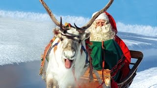 Rennes du Père Noël en Laponie 🦌🎅 vrai Papa Noël à Rovaniemi Finlande  Village du Père Noël [upl. by Tracay]