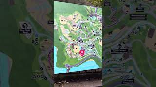 Need a map in Taronga Zoo [upl. by Llednar228]