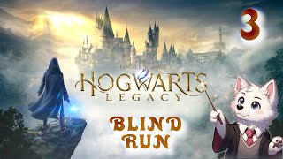 Hogwarts Legacy  BLIND RUN  Episodio 3  ITA  pc magia hogwartslegacy harrypotter [upl. by Soble]