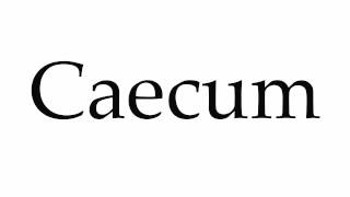 How to Pronounce Caecum [upl. by Ylloj67]