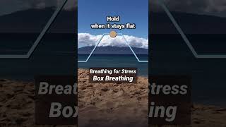 Breathing for Stress Box Breathing [upl. by Chubb]