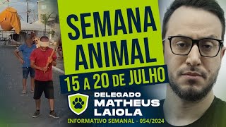 Resumo da semana  Delegado Matheus Laiola [upl. by Yrelle]